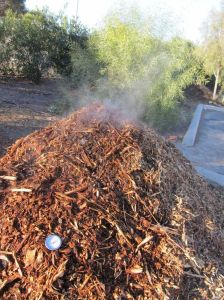 This is one successful compost pile. The steaming show that the food scraps inside are breaking down. It is steaming because it has reached 150 degrees while it is just below freezing outside.
